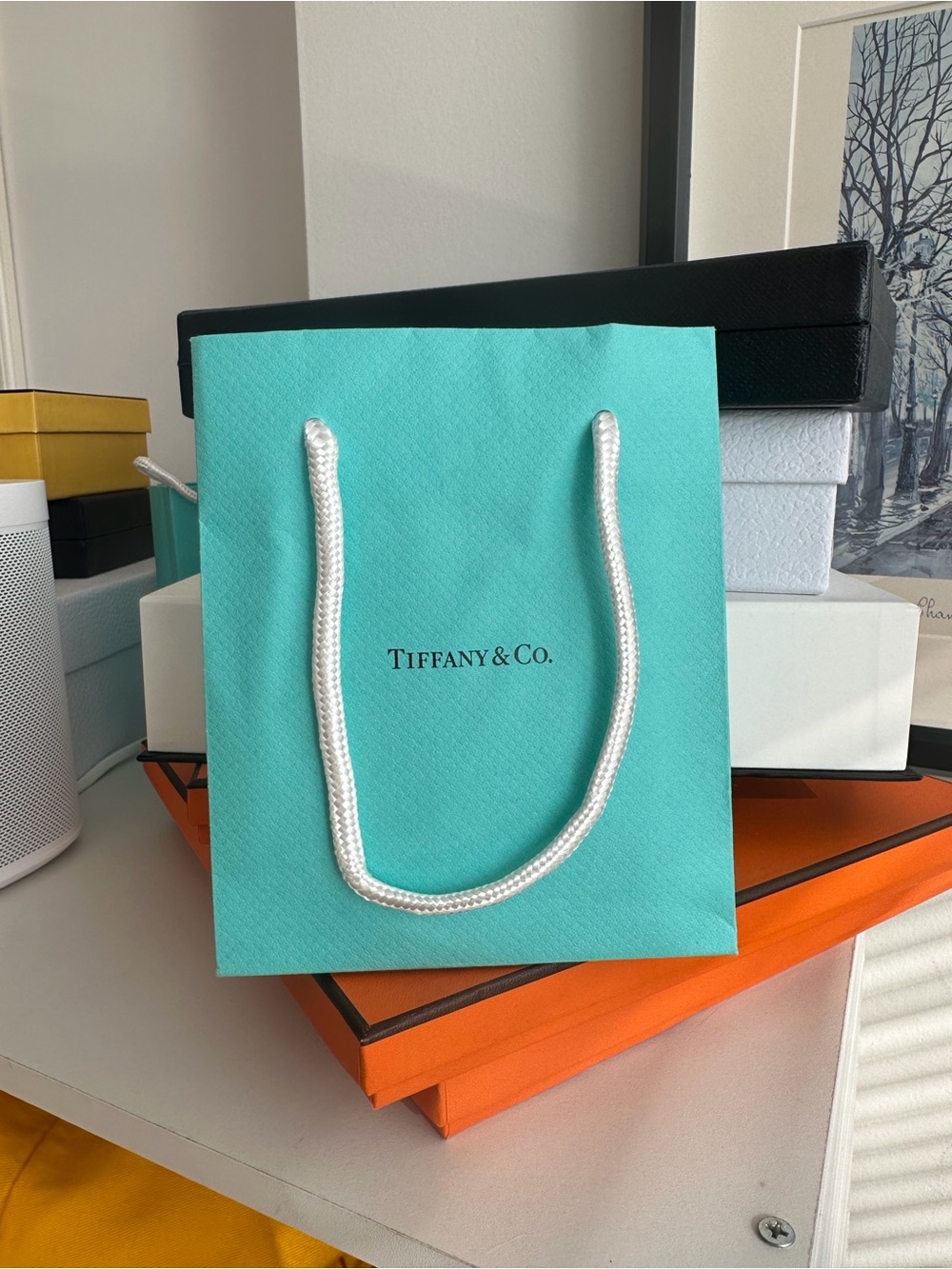 Tiffany Small Paper Gift Bag